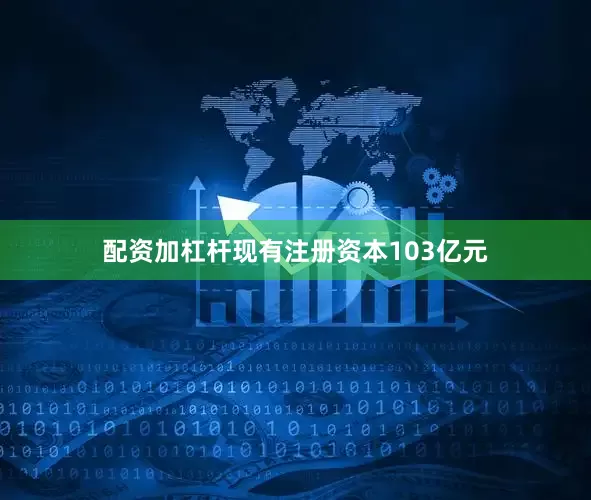 配资加杠杆现有注册资本103亿元