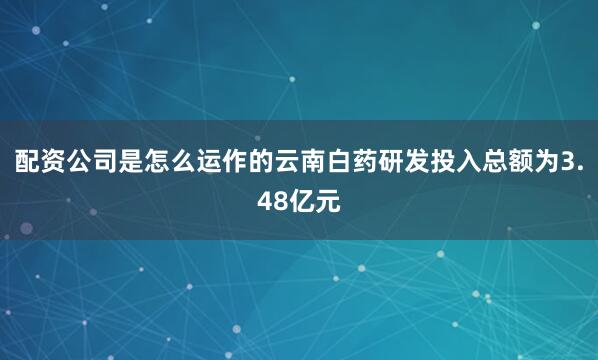 配资公司是怎么运作的云南白药研发投入总额为3.48亿元
