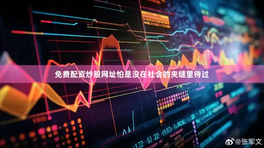 免费配资炒股网址怕是没在社会的夹缝里待过